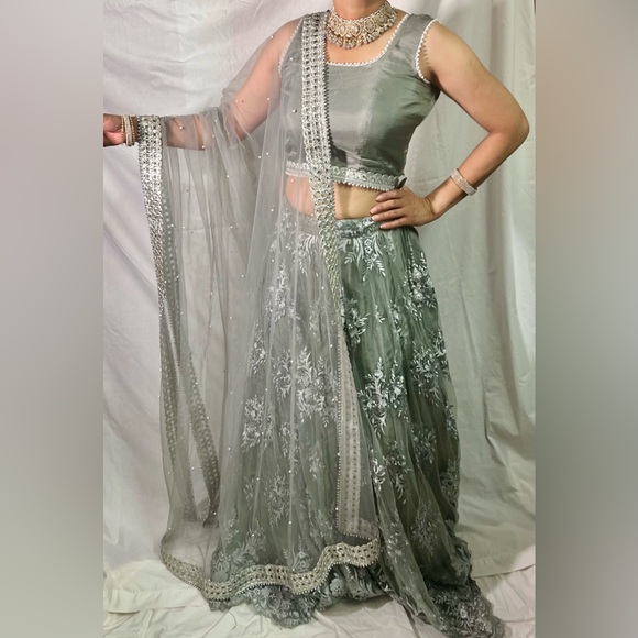 Beautiful Indian lehenga - Picture 1 of 15